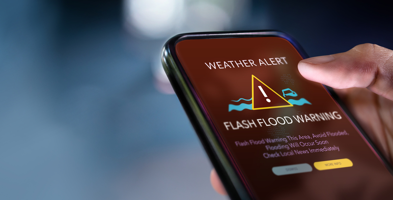 Emergency alert phone notification